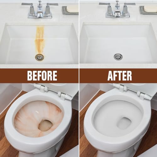 Rust-Oleum Whink Rust Stain Remover 16 oz 1
