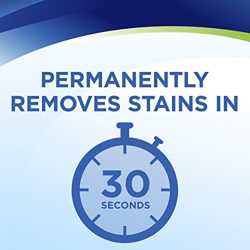Woolite InstaClean Stain Remover 2 Pack 21799