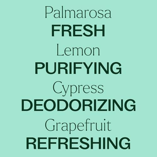 Plant Therapy Deodorizing Powder 16 oz - Natural Odor Eliminator