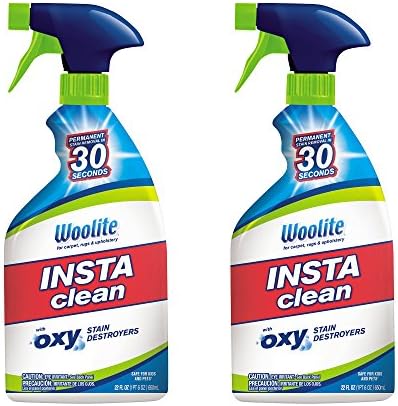 Woolite InstaClean Stain Remover 2 Pack 21799