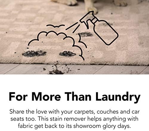 DEFUNKIFY Laundry Stain Remover Spray 16oz 2-Pack