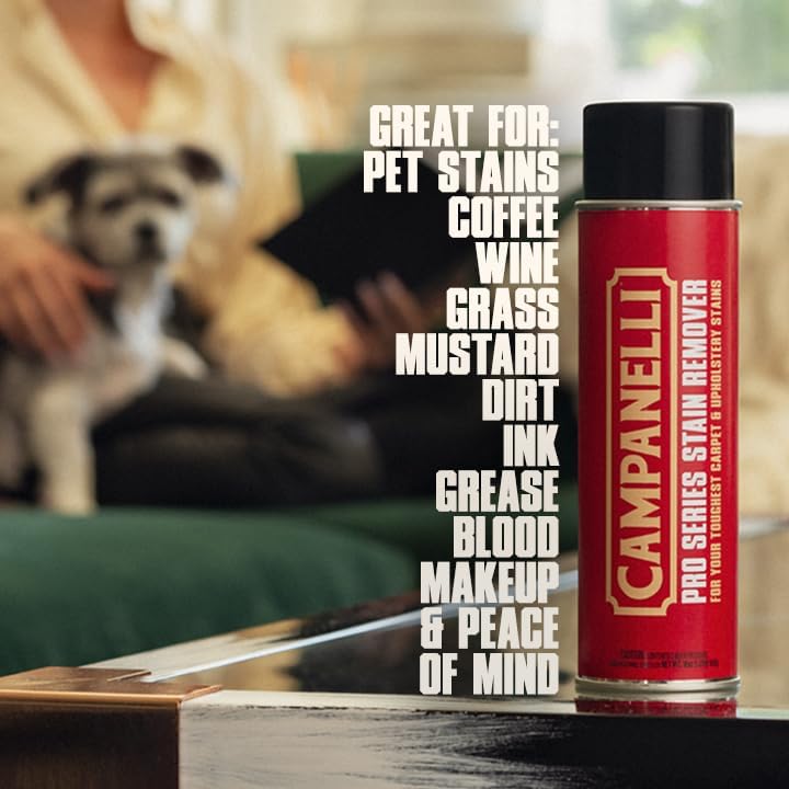 CAMPANELLI Pro Series Stain Remover 18oz Aerosol