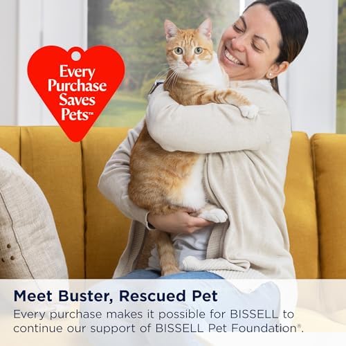 Bissell Pet Stain Odor Remover 2-Pack 3326