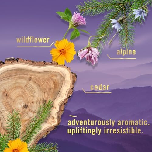 Febreze Air Mist Spray - Mountain Scent 3 Count