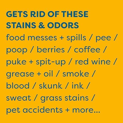KIDS N PETS Instant Stain Odor Remover 1-Gallon