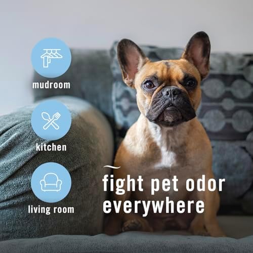 Febreze Air Mist Heavy Duty Pet Odor Fighter 3 Pack