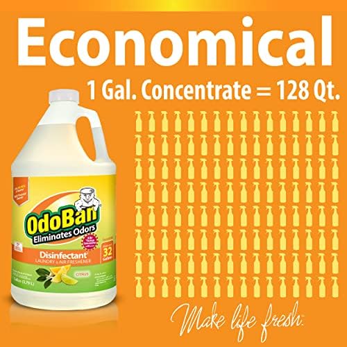 OdoBan Ready-to-Use Disinfectant with Citrus Scent 32 oz 1 Gallon Set