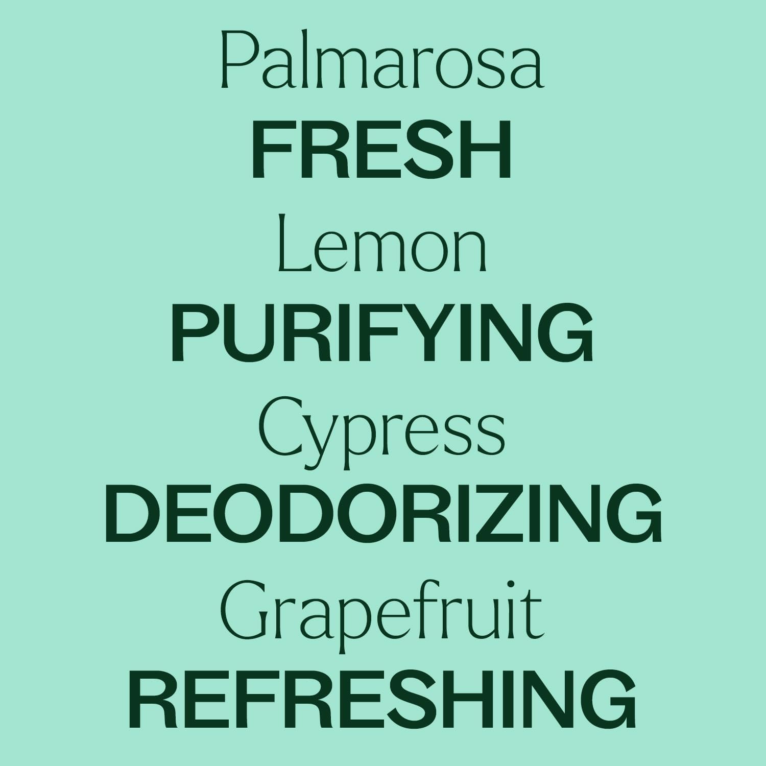 Plant Therapy Deodorizing Powder 16 oz - Natural Odor Eliminator