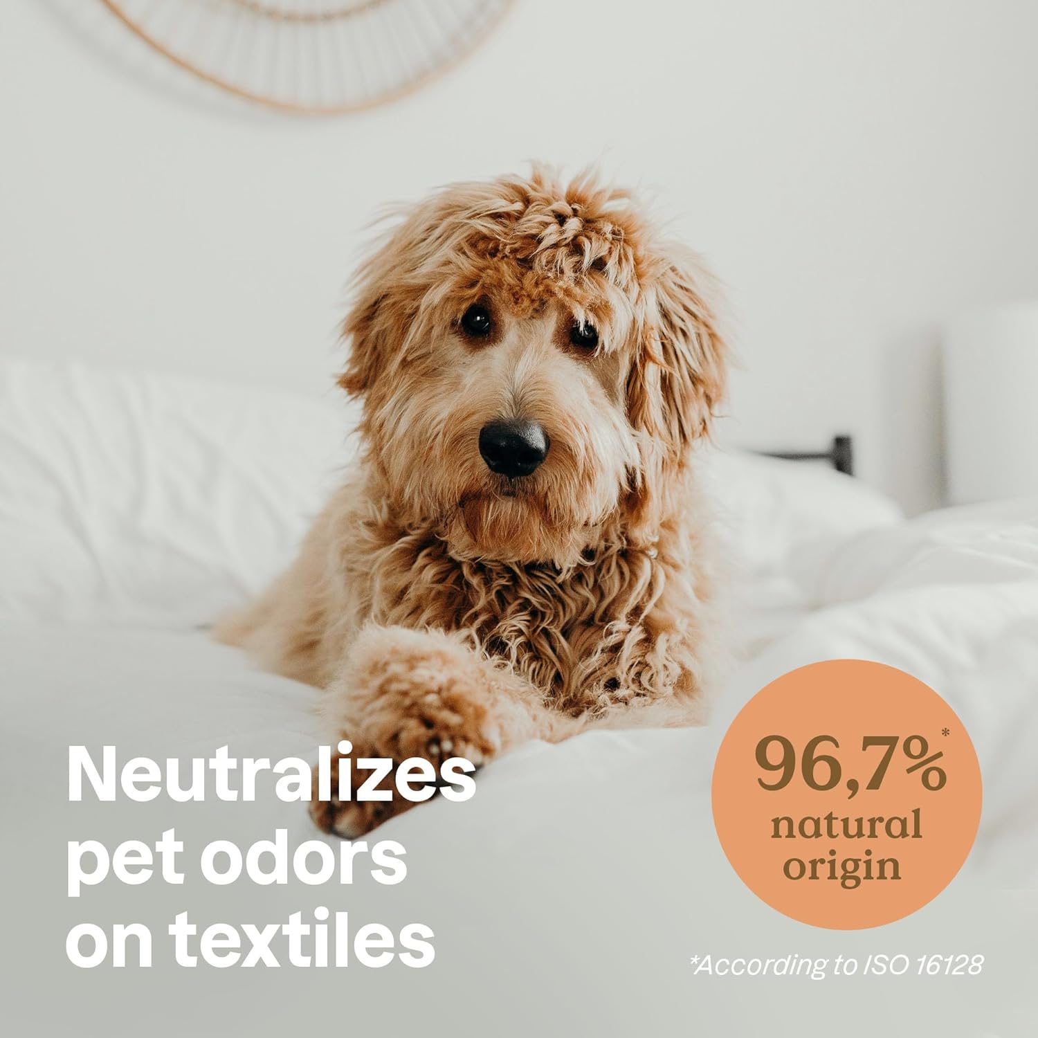 ATTITUDE Fabric Refresher for Pets 16 Fl Oz 1