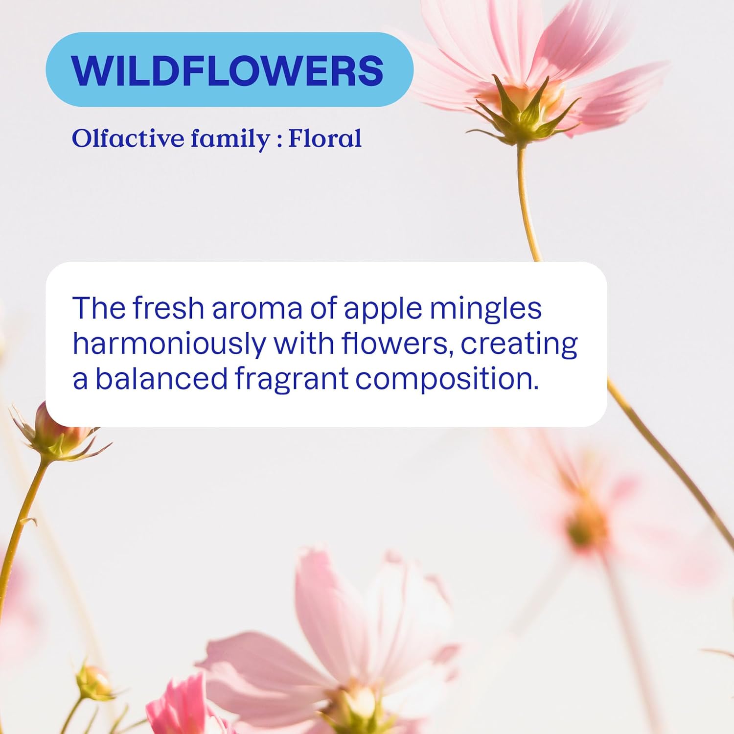 ATTITUDE Liquid Laundry Detergent - 80 Loads Wildflowers Scent