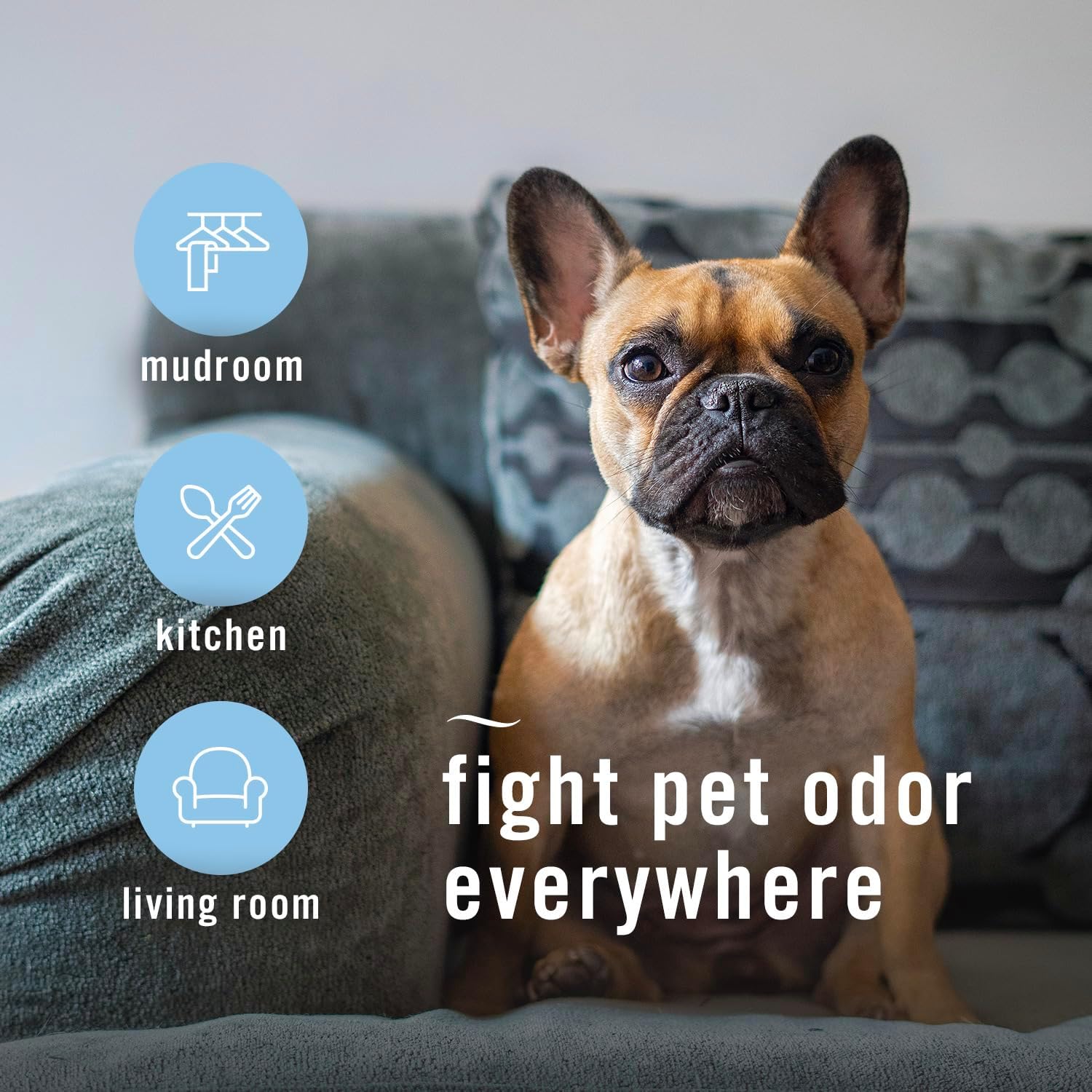 Febreze Air Mist Heavy Duty Pet Odor Fighter 3 Pack
