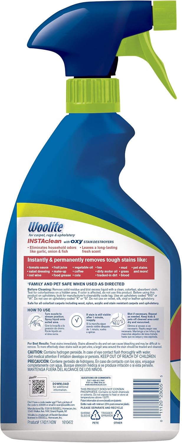 Woolite InstaClean Stain Remover 2 Pack 21799