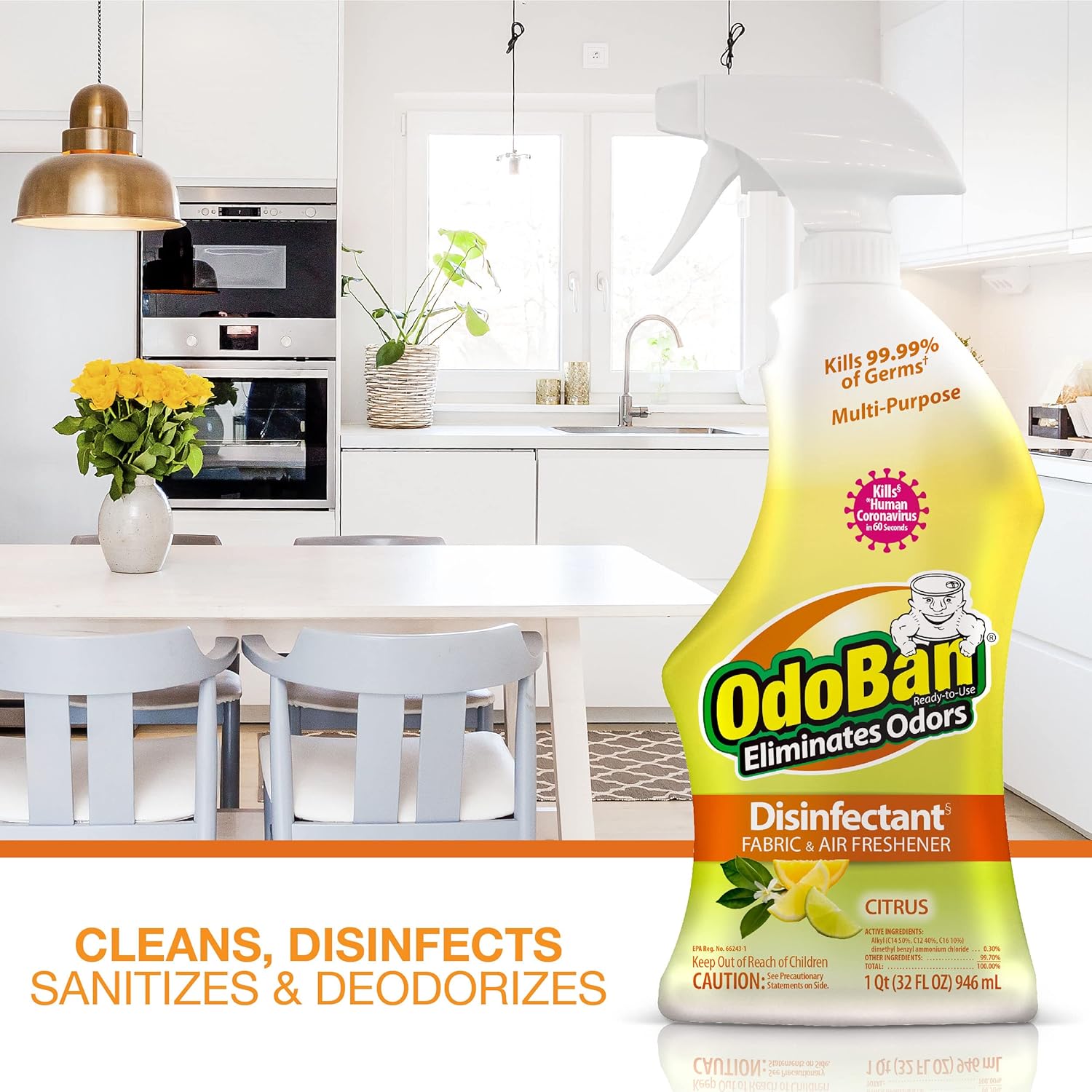 OdoBan Ready-to-Use Disinfectant with Citrus Scent 32 oz 1 Gallon Set