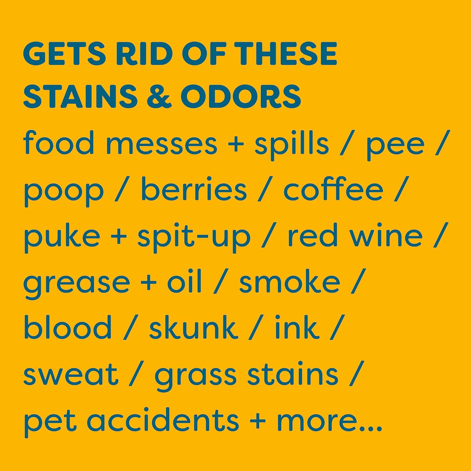 KIDS N PETS Instant Stain Odor Remover 1-Gallon