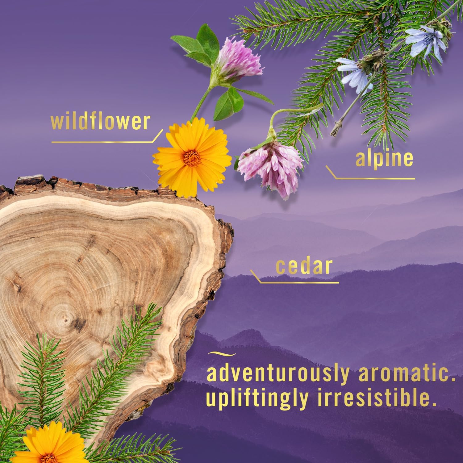 Febreze Air Mist Spray - Mountain Scent 3 Count
