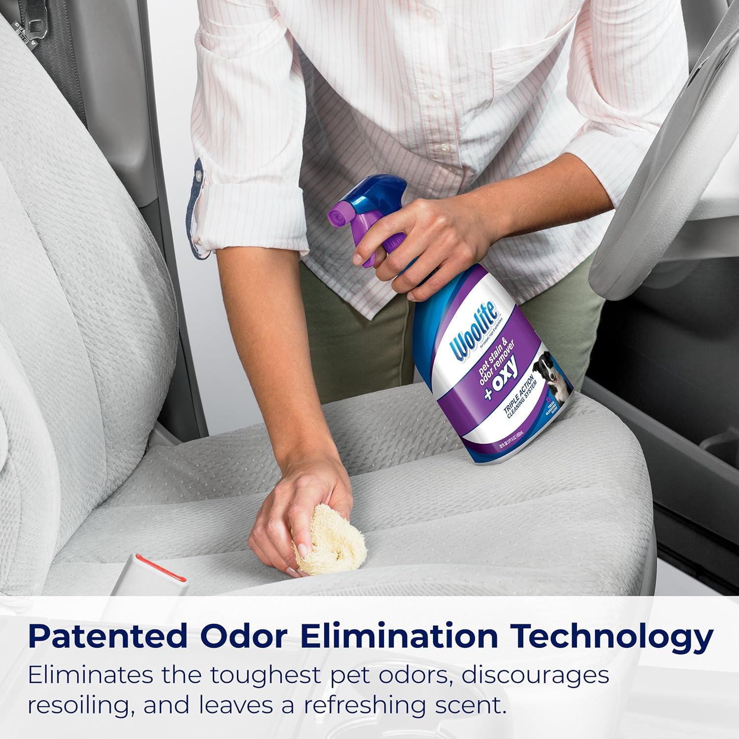 Bissell Pet Stain Odor Remover 2-Pack 3326