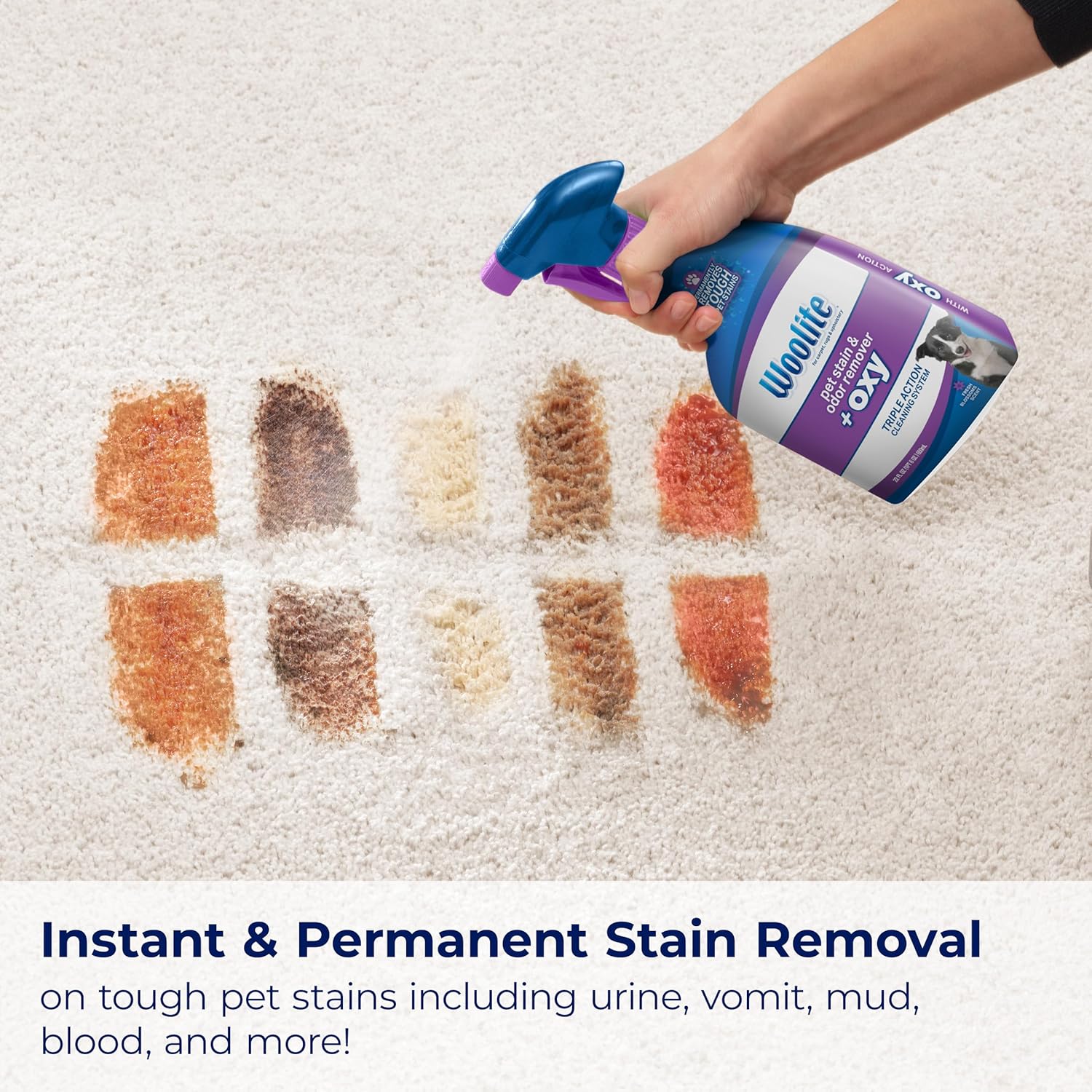 Bissell Pet Stain Odor Remover 2-Pack 3326